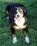 Maggie