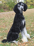 10-28-8_edited_edited.jpg